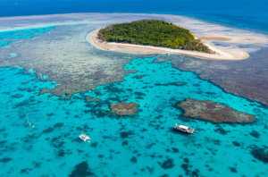 IndoHolidayTourGuide | Wisata Great Barrier Reef, Ada Apa Saja?